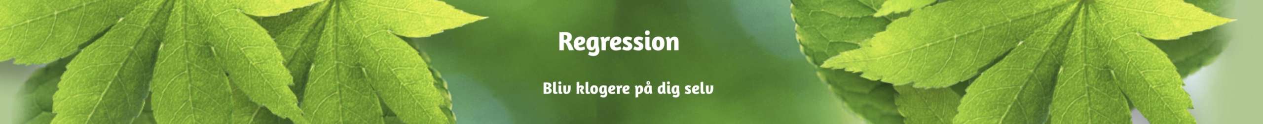 Regression viser dig vejen