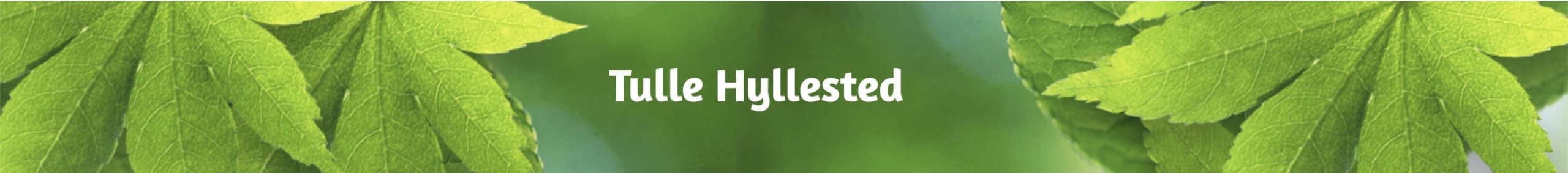 tulle hyllested